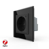 Розетка электрическая ZigBee (Wi-Fi) с заземлением защитными шторками 16A 1 пост Черная