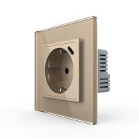 Розетка электрическая + USB type-C с блоком питания 18W Livolo 1 пост Золотая