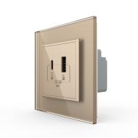 Розетка USB type C+A с блоком питания 36W Livolo 1 пост Золотая