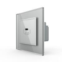 Розетка USB type C с блоком питания 45W Livolo 1 пост Серая