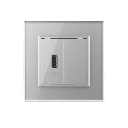 Розетка USB LIVOLO с блоком питания 5В 2.1А серая VL-C791USB-15