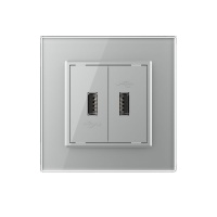 Розетка двойная USB LIVOLO с блоком питания 5В 2.1А серая VL-C792USB-15