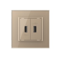 Розетка двойная USB LIVOLO с блоком питания 5В 2.1А золотая VL-C792USB-13