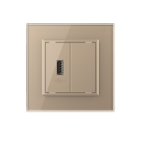 Розетка USB LIVOLO с блоком питания 5В 2.1А золотая VL-C791USB-13