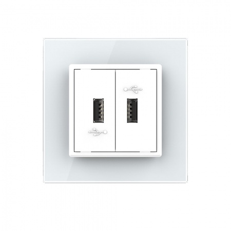 Розетка двойная USB LIVOLO с блоком питания 5В 2.1А белая VL-C792USB-11