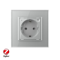 Розетка электрическая ZigBee (Wi-Fi) с заземлением защитными шторками 16A 1 пост Серая