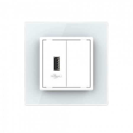 Розетка USB LIVOLO с блоком питания 5В 2.1А белая VL-C791USB-11